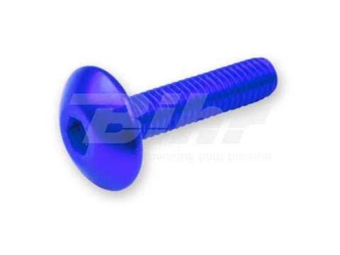 V PARTS (VICMA) ZESTAW ŚRUB OWIEWKI M5X20 (6SZT.) KOLOR NIEBIESKI (TA520AZ)