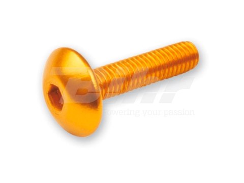 V PARTS (VICMA) ZESTAW ŚRUB OWIEWKI M6X20 (6SZT.) KOLOR ZŁOTY (TA620OR)